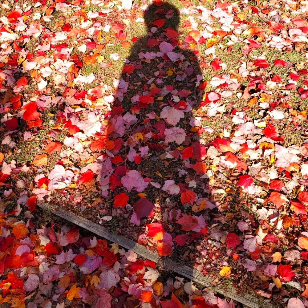 Meet your Posher, Valeria